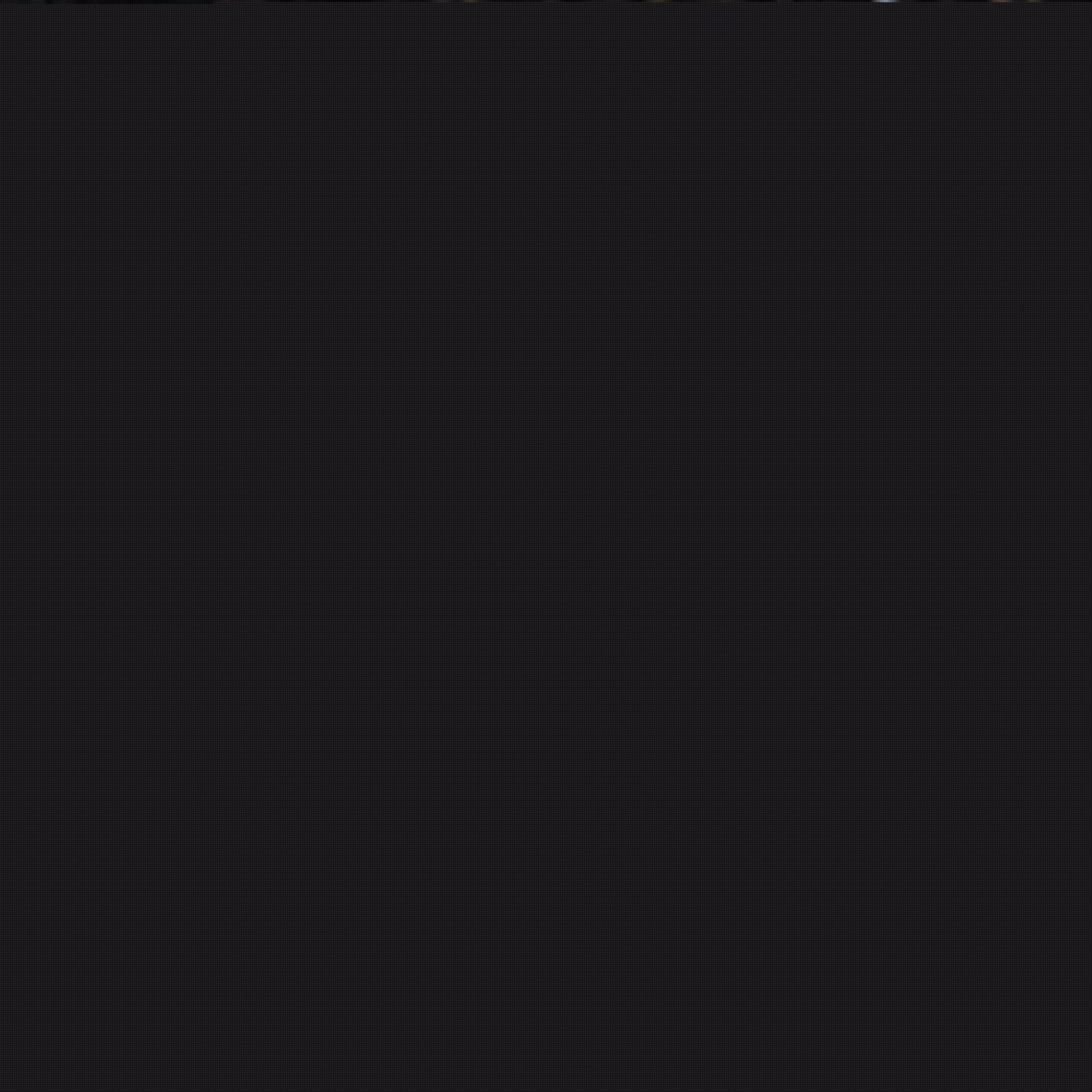 定的